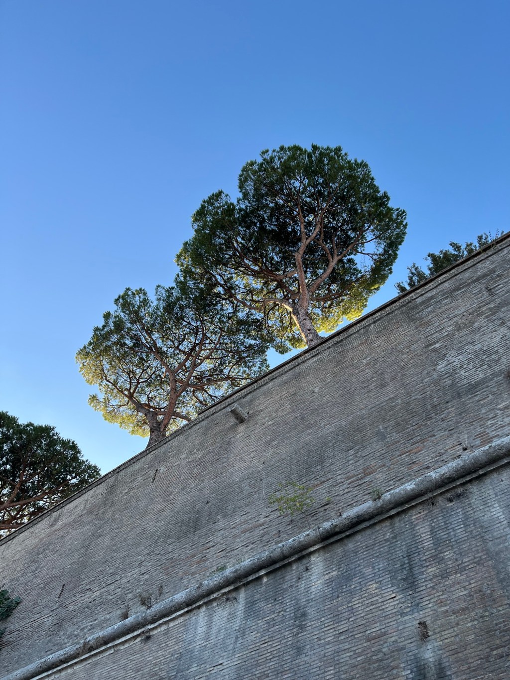 Rome – Day Thirty&nbsp;One